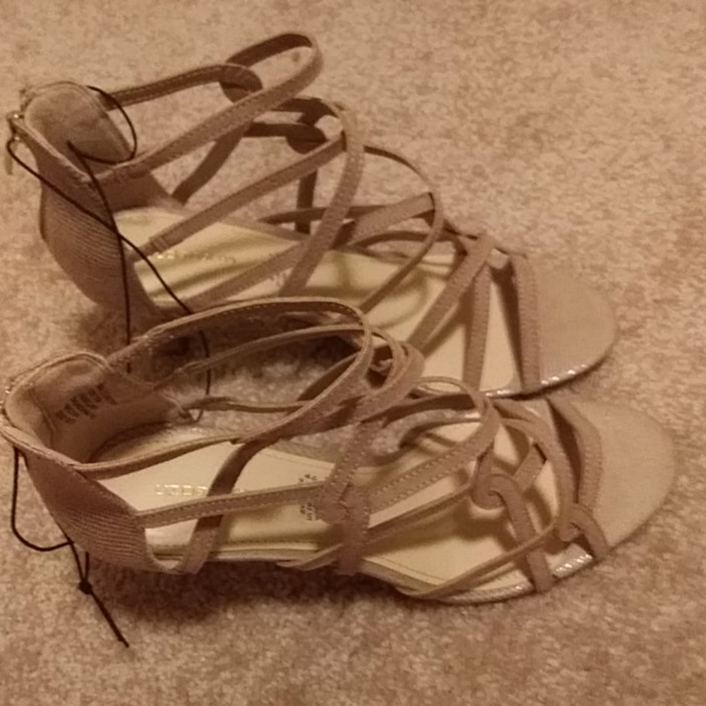 Shoe - Picture 5 of 8